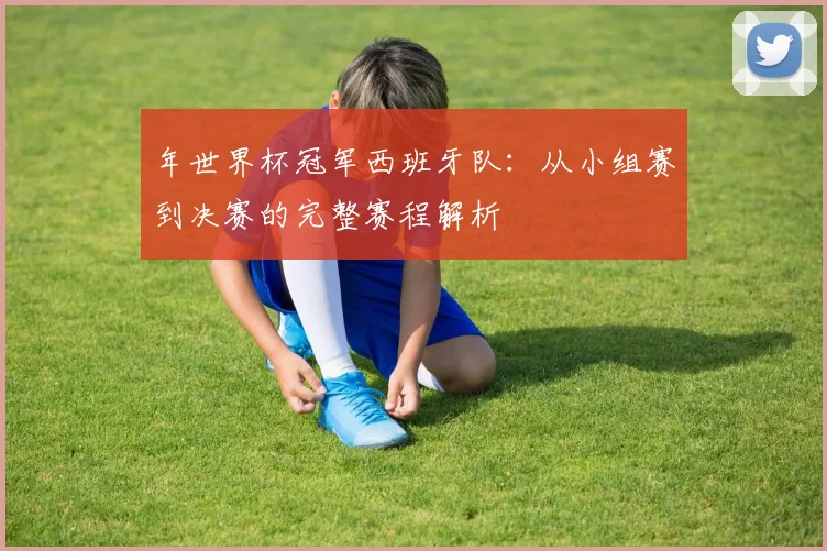 年世界杯冠军西班牙队：从小组赛到决赛的完整赛程解析