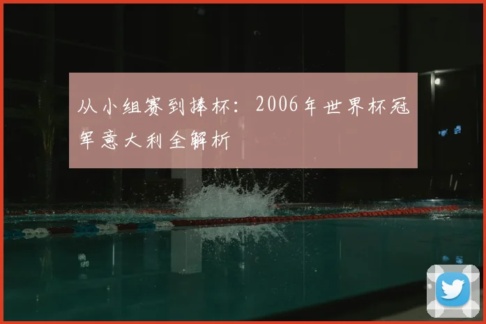 从小组赛到捧杯:2006年世界杯冠军意大利全解析
